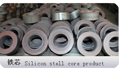 Silicon stell core product